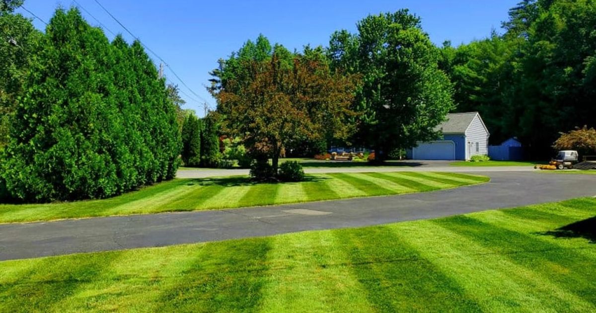 Protect Your Lawn from Pesky Pests: Tips for Tick, Mosquito, Flea and Spider Control