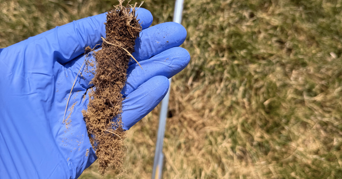 Winter Soil Testing in New York: Why You Should Wait Until the Ground Thaws