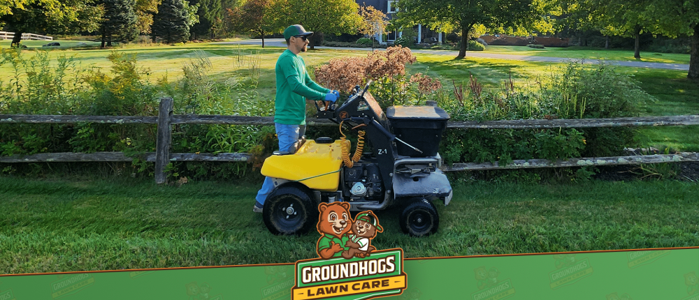 Fungus & Disease Control in Queensbury, NY