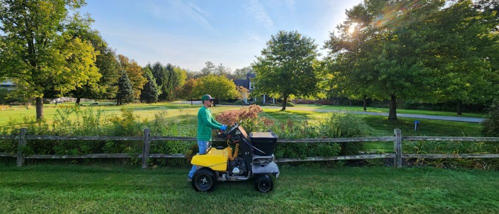 Lawn Fertilization Services in Queensbury, NY