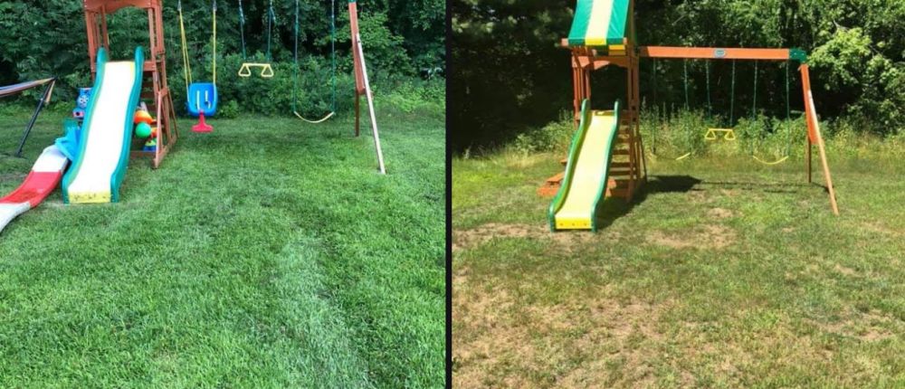 💛🤎 Why Lawn Treatments Are the Heart of True Lawn Care 🤎💛