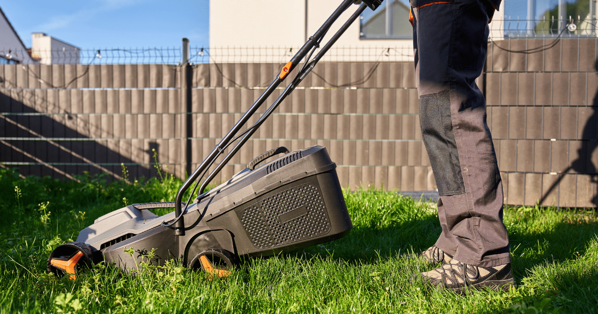 My Lawn Looks Worse After Treatments? Realistic Expectations for the First Year of a Treatment Plan