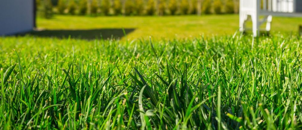 Lawn Slit Seeding Services in Queensbury, NY