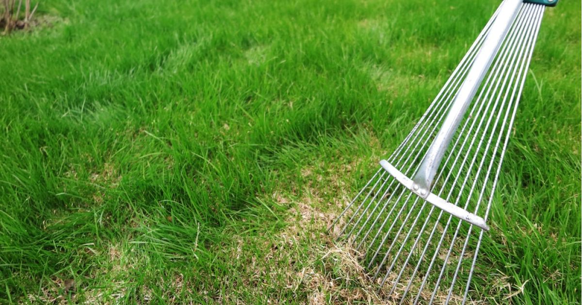 What is Dethatching? Unlocking the Secrets of Lawn Care