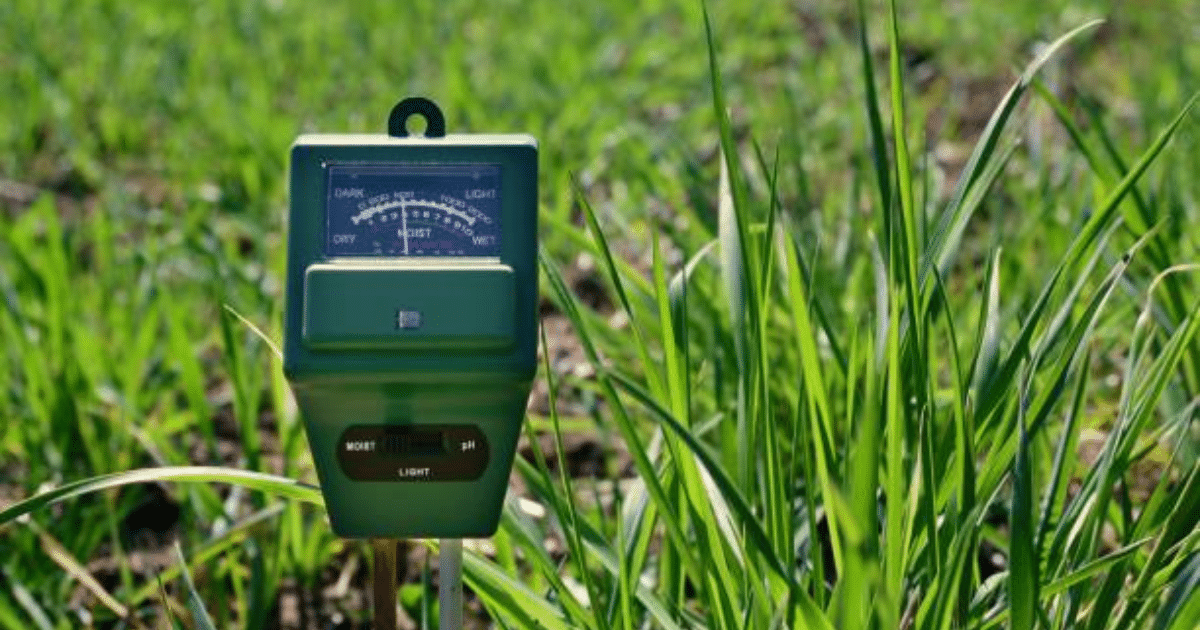 Soil pH: The Hidden Key to a Greener Lawn in Upstate New York