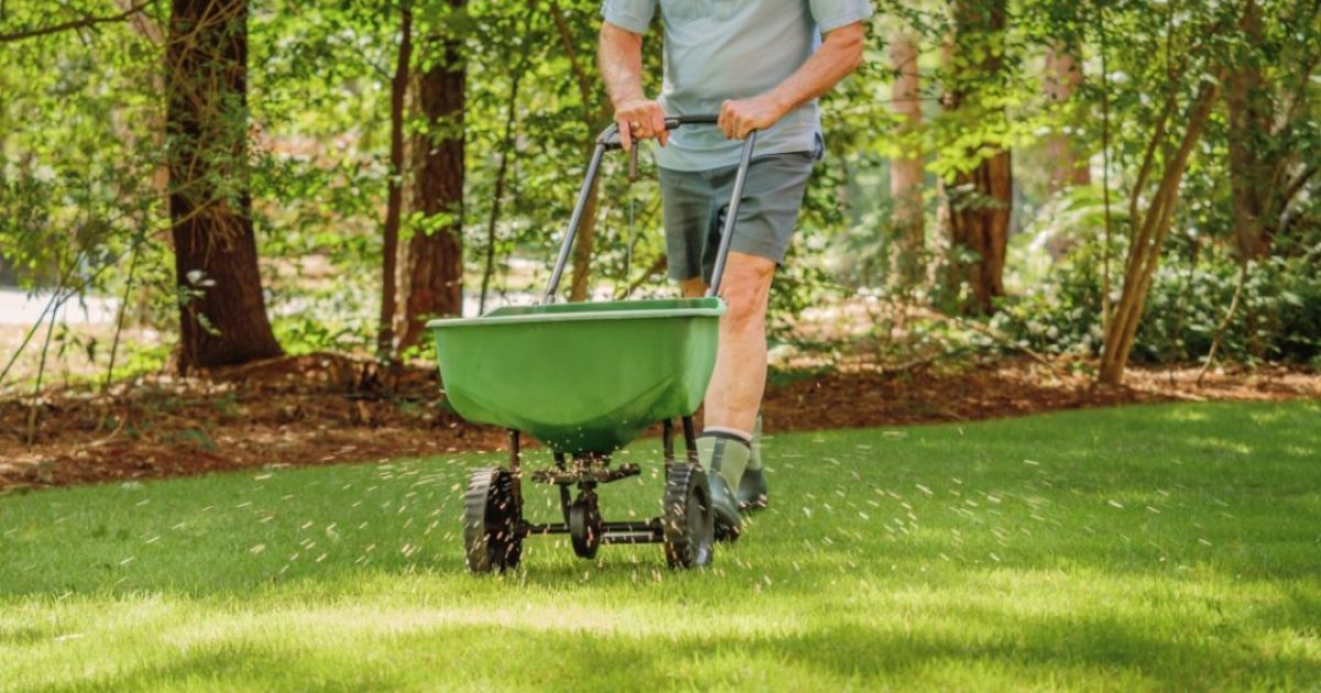 Fertilizer Fundamentals: Understanding the Nutrient Needs of Your Lawn