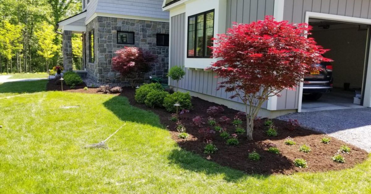 The Benefits of Hiring A Professional Lawn Care Company